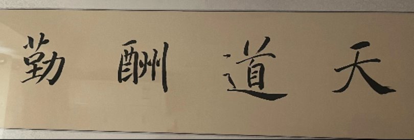 公益拍卖（两幅当代字画）